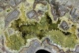 Yellow Crystal Filled Septarian Geode ( lbs) - Utah #135441-1